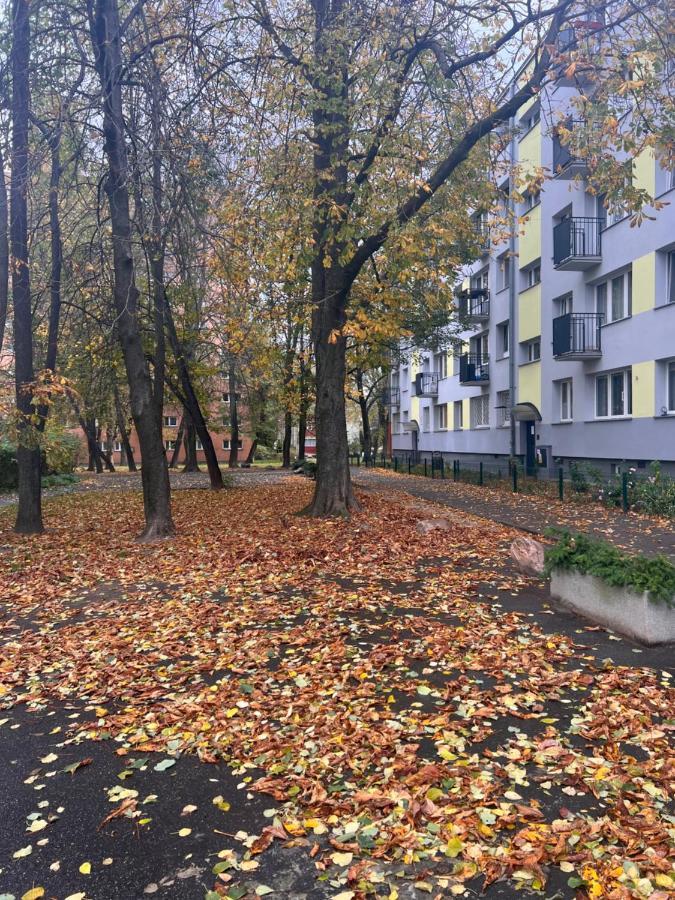Yellow Apartment Airport Galeria Mokotow Netflix Варшава Экстерьер фото